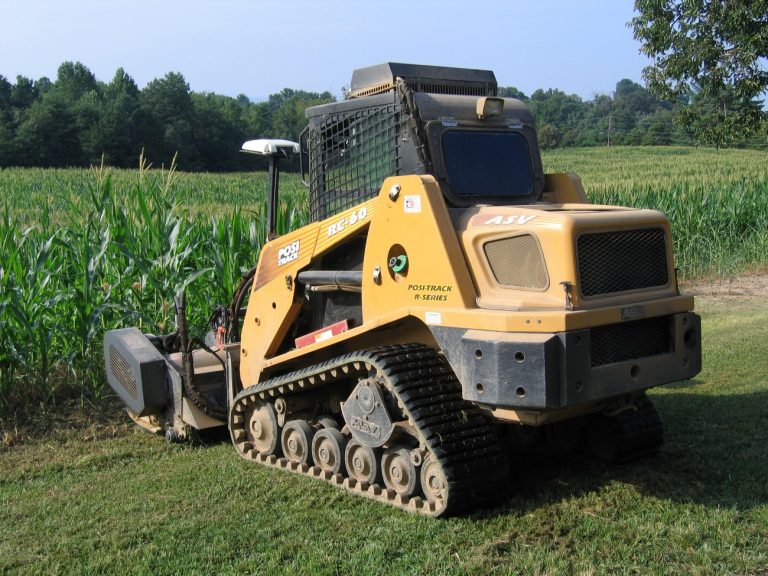 Past Year Maze Cutting