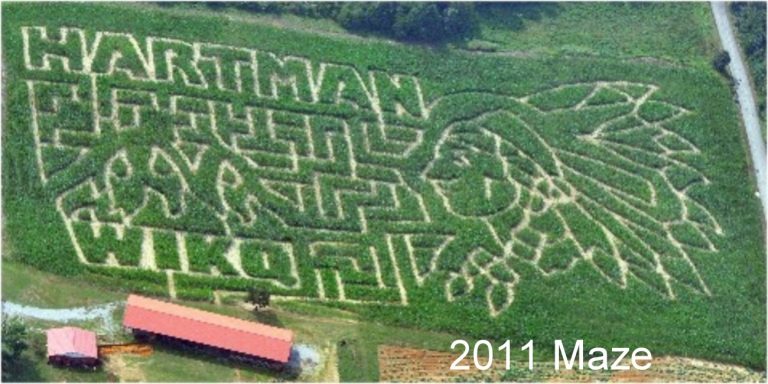 2011maze