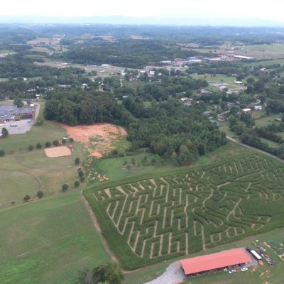 2016 Maze Cutting