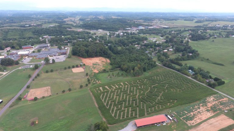 2016 Maze Cutting