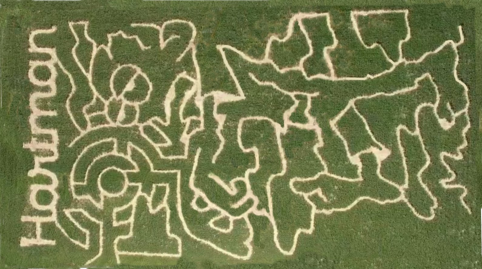 2025 Corn Maze